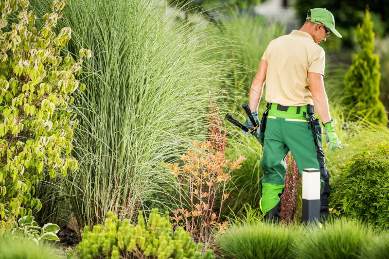 Landscape Clean Up Service