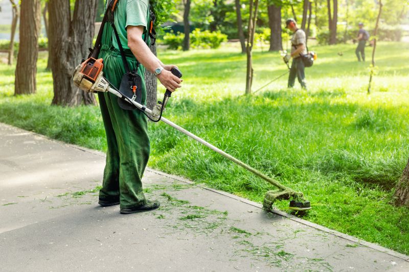 Landscape Clean Up Service
