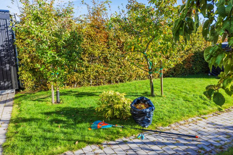 Fall Lawn Cleanup Service